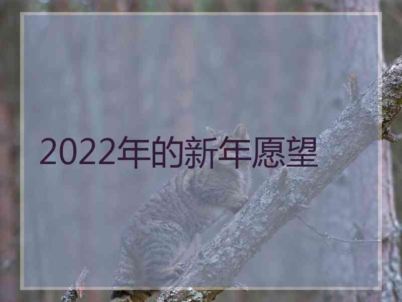 2022年的新年愿望