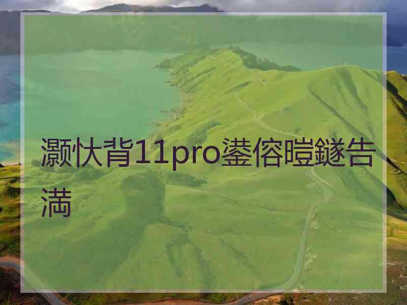 灏忕背11pro鍙傛暟鐩告満