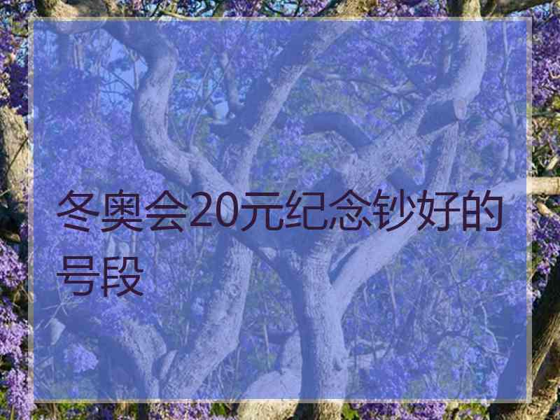 冬奥会20元纪念钞好的号段