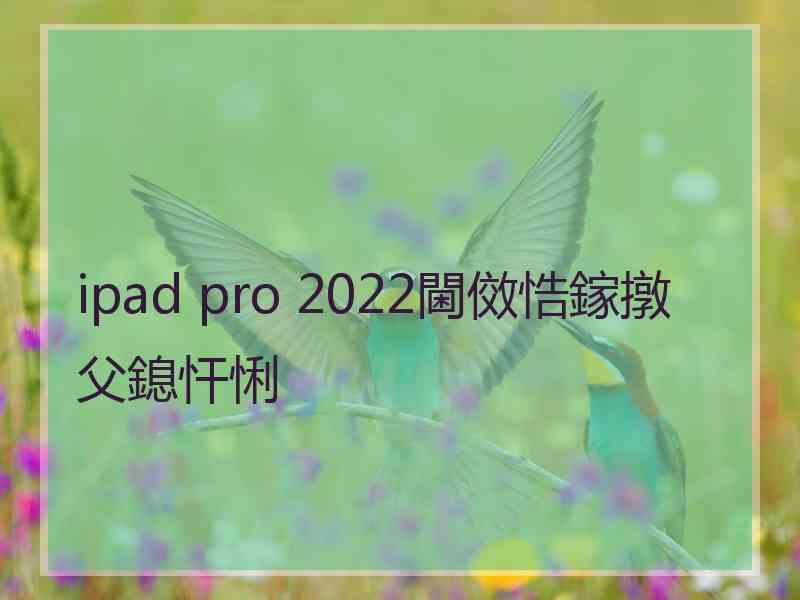 ipad pro 2022閫傚悎鎵撴父鎴忓悧