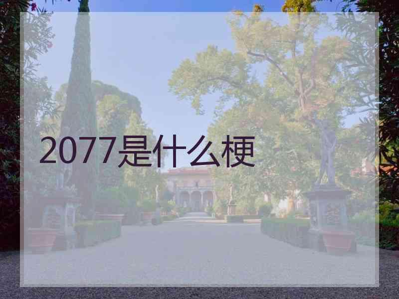 2077是什么梗