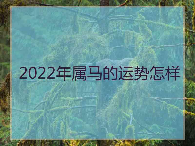 2022年属马的运势怎样