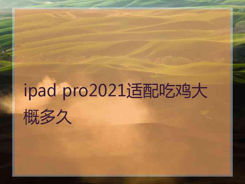 ipad pro2021适配吃鸡大概多久