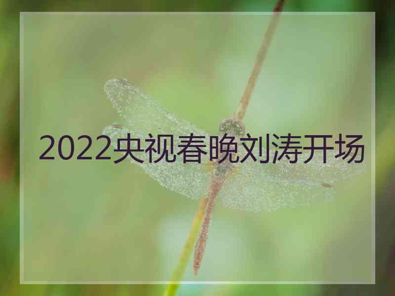 2022央视春晚刘涛开场