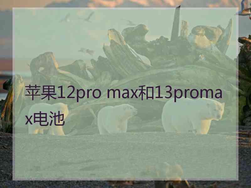 苹果12pro max和13promax电池