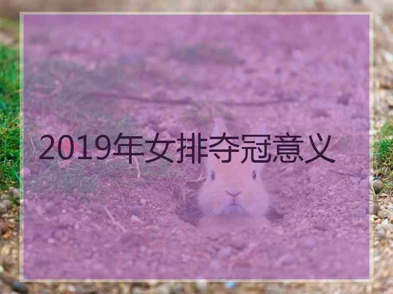 2019年女排夺冠意义