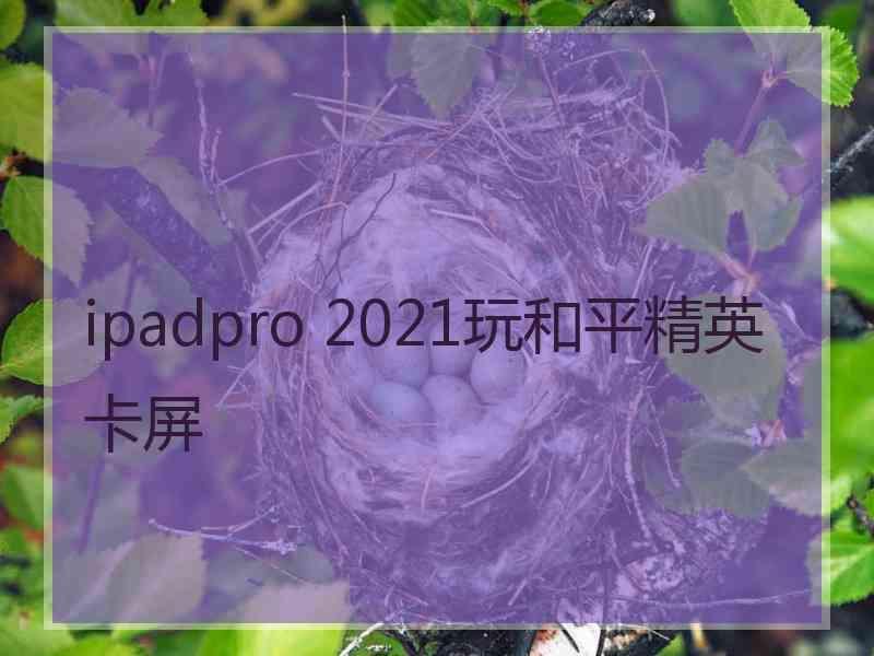 ipadpro 2021玩和平精英卡屏