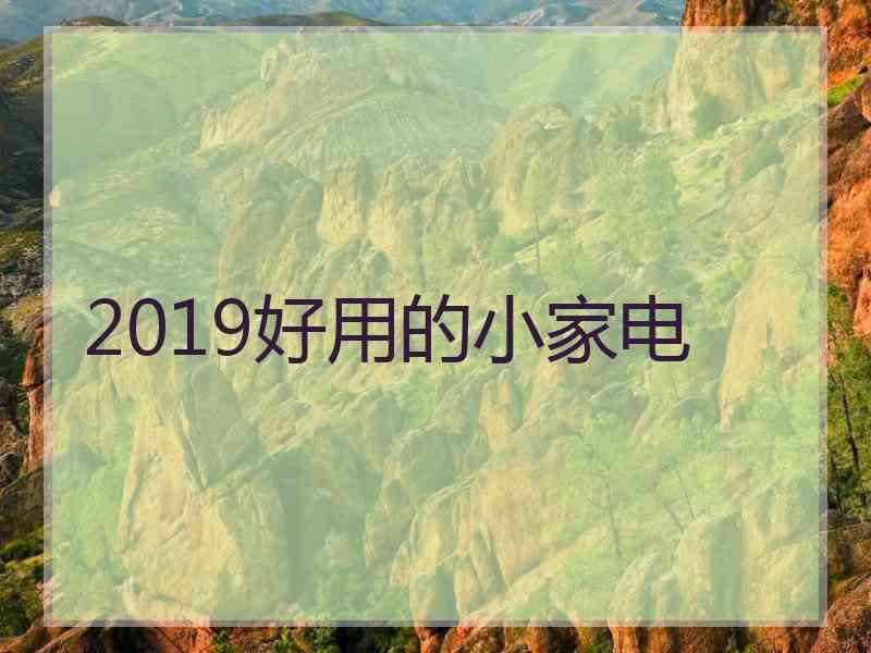 2019好用的小家电