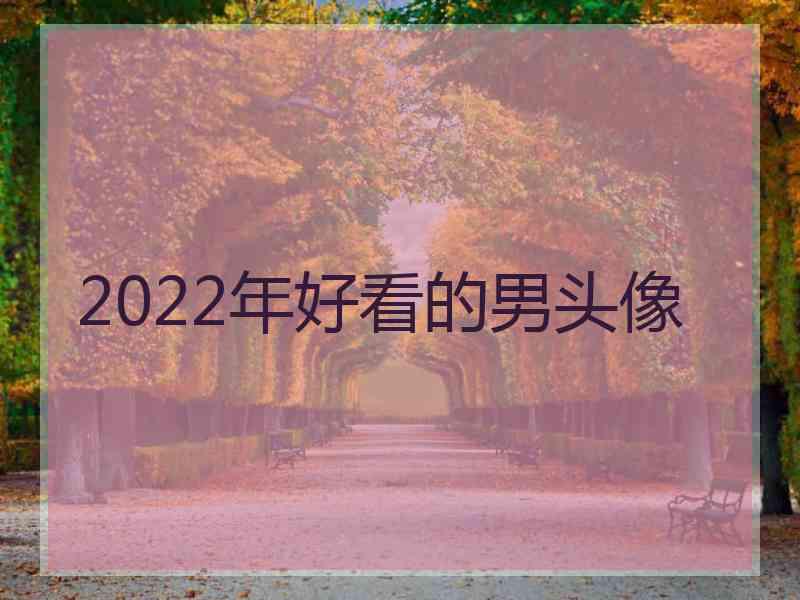 2022年好看的男头像