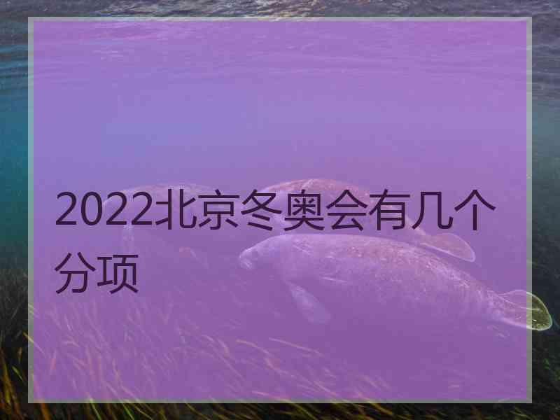 2022北京冬奥会有几个分项