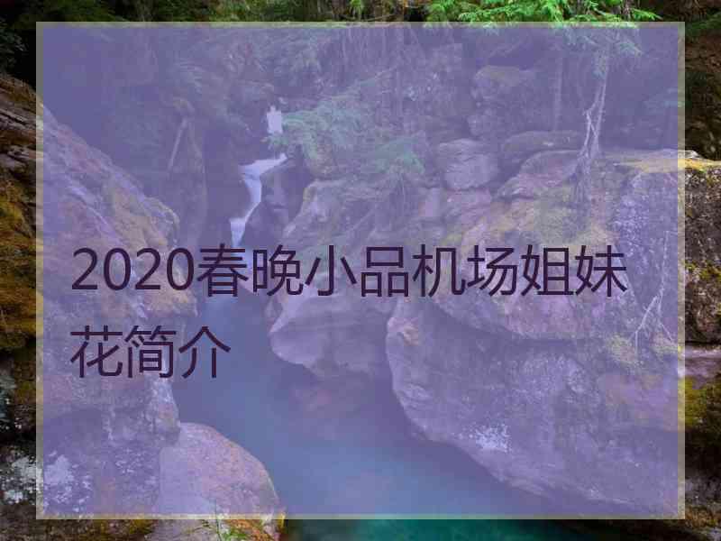 2020春晚小品机场姐妹花简介