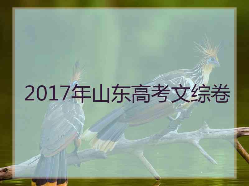 2017年山东高考文综卷