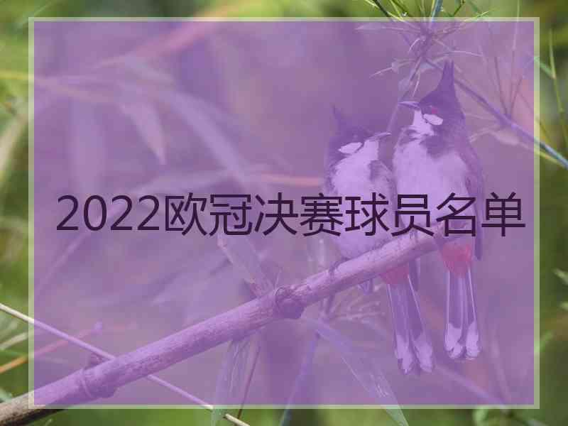 2022欧冠决赛球员名单