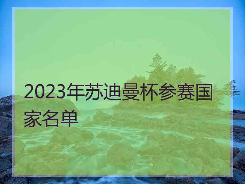 2023年苏迪曼杯参赛国家名单