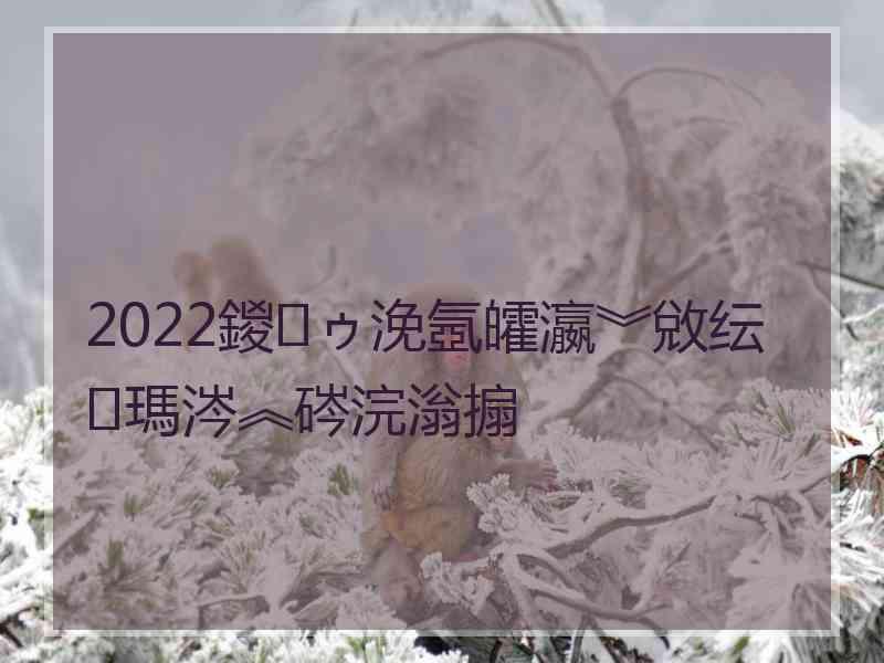 2022鍐ゥ浼氬皬瀛︾敓纭瑪涔︽硶浣滃搧