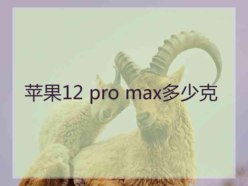 苹果12 pro max多少克