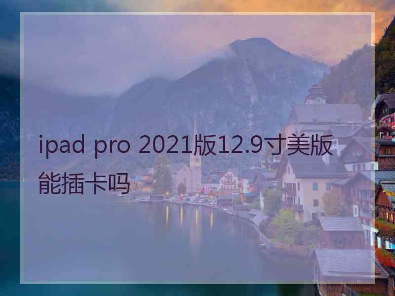 ipad pro 2021版12.9寸美版能插卡吗