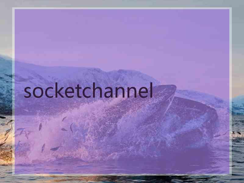 socketchannel