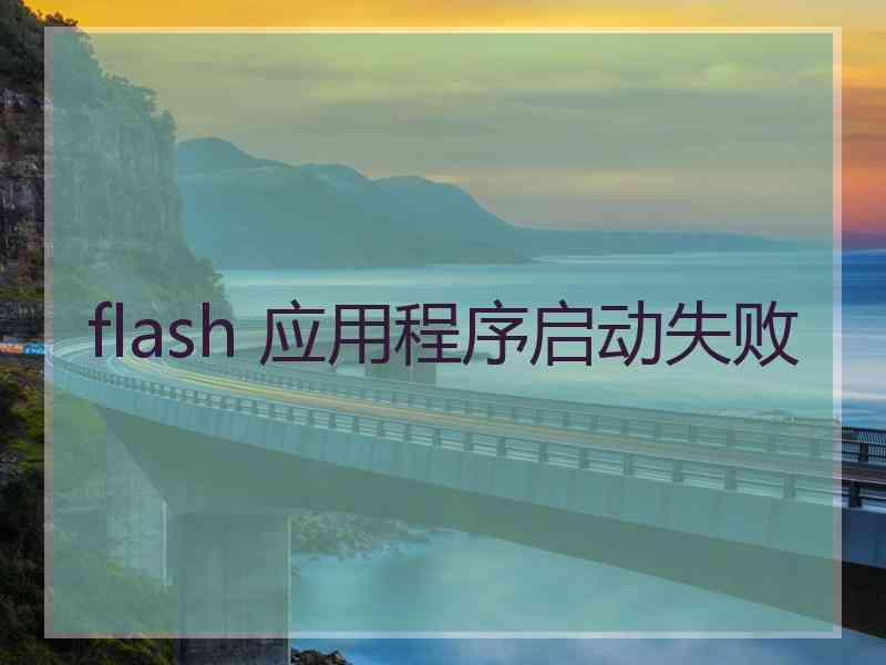 flash 应用程序启动失败