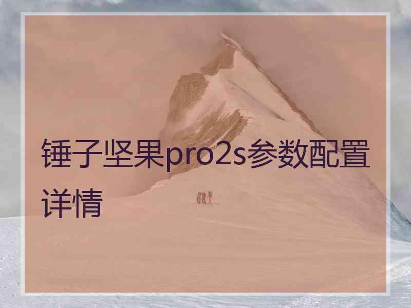 锤子坚果pro2s参数配置详情