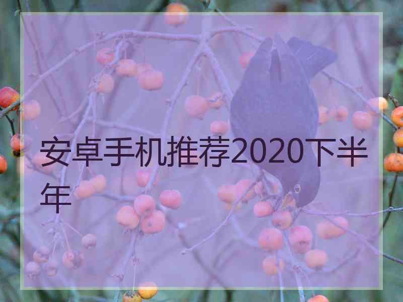 安卓手机推荐2020下半年