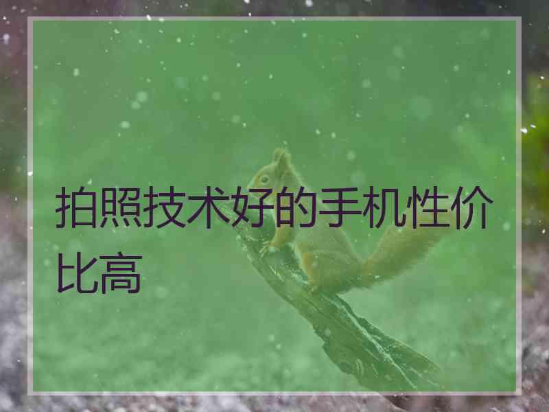 拍照技术好的手机性价比高