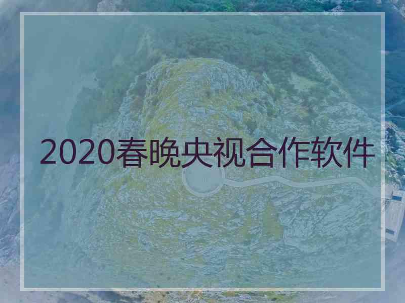 2020春晚央视合作软件