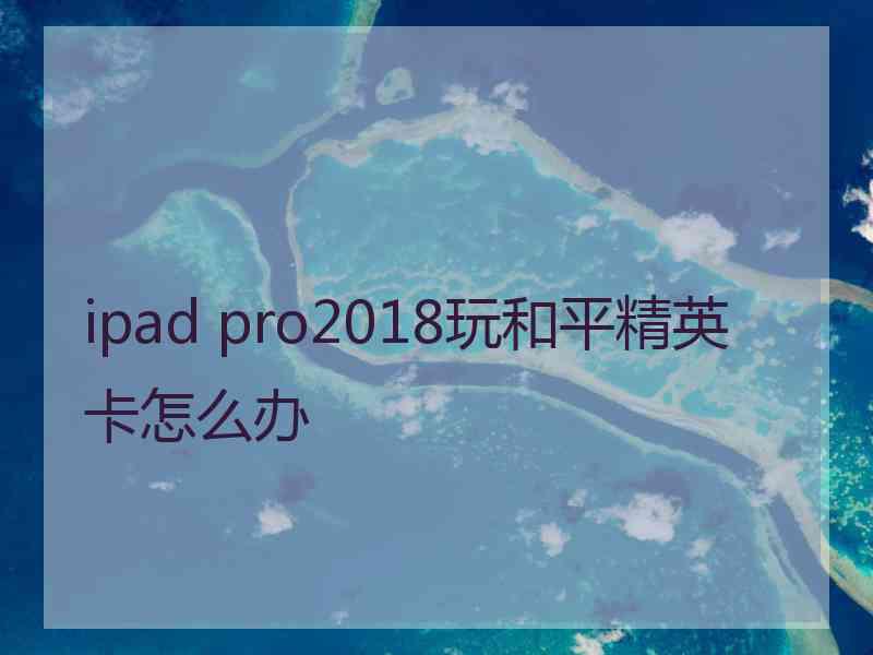 ipad pro2018玩和平精英卡怎么办