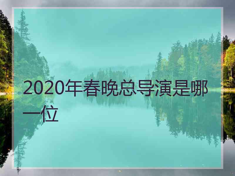 2020年春晚总导演是哪一位