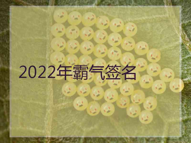 2022年霸气签名