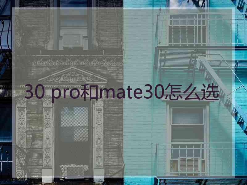 30 pro和mate30怎么选