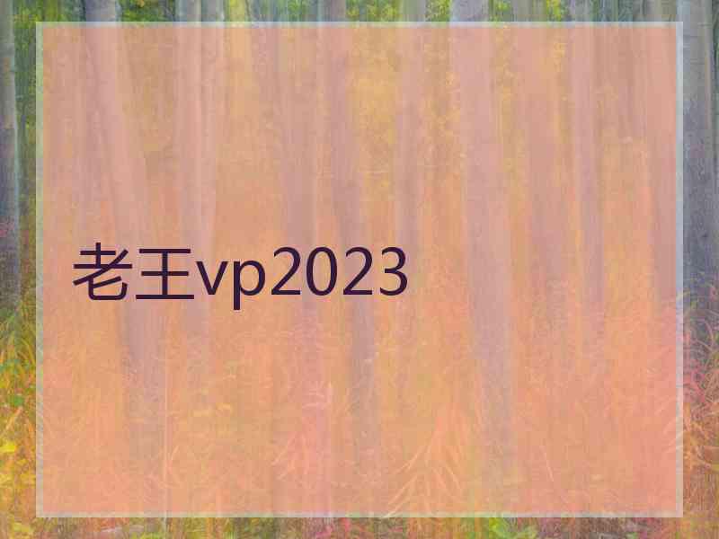 老王vp2023