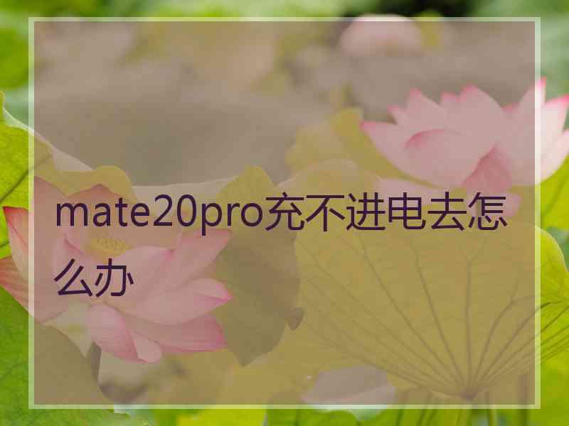 mate20pro充不进电去怎么办