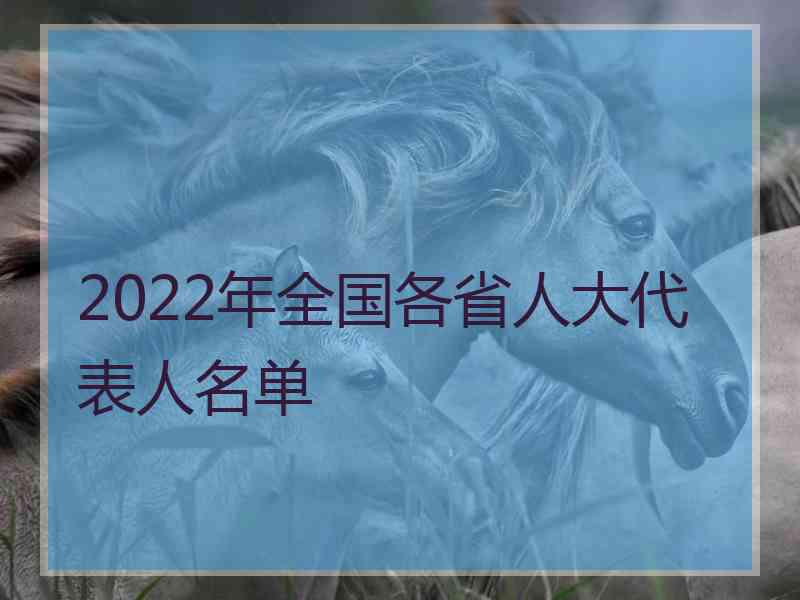 2022年全国各省人大代表人名单