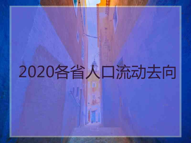 2020各省人口流动去向