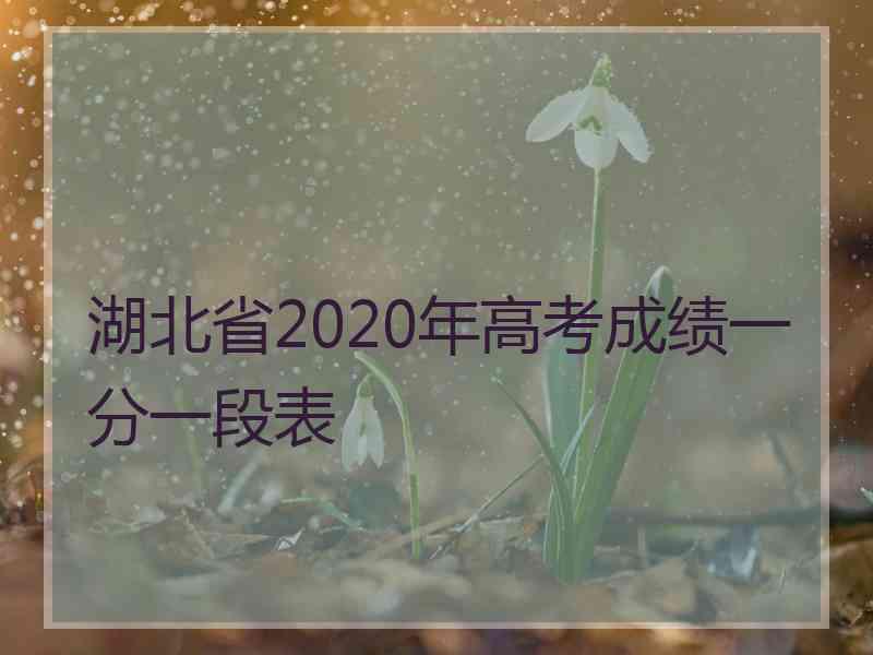 湖北省2020年高考成绩一分一段表