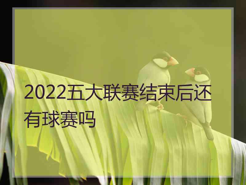 2022五大联赛结束后还有球赛吗