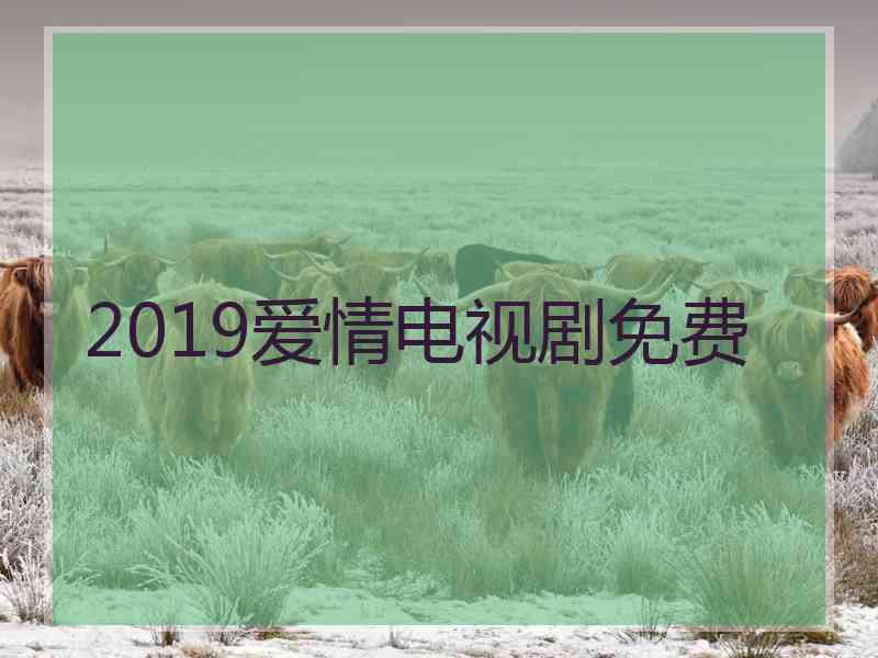 2019爱情电视剧免费