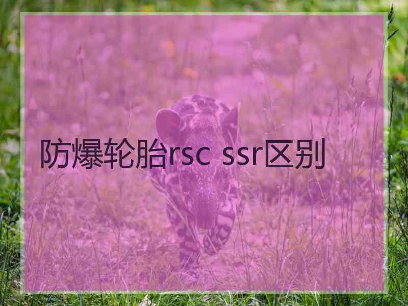 防爆轮胎rsc ssr区别