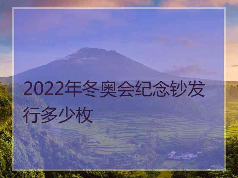 2022年冬奥会纪念钞发行多少枚