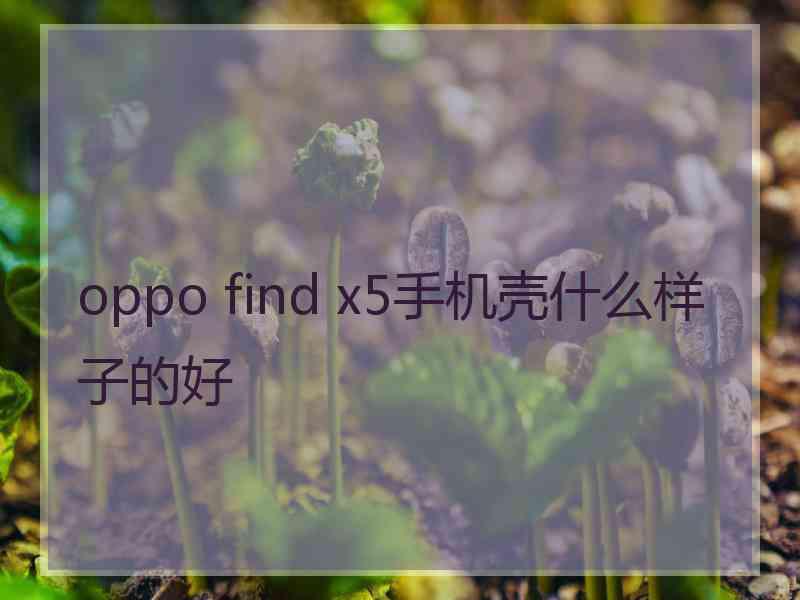 oppo find x5手机壳什么样子的好