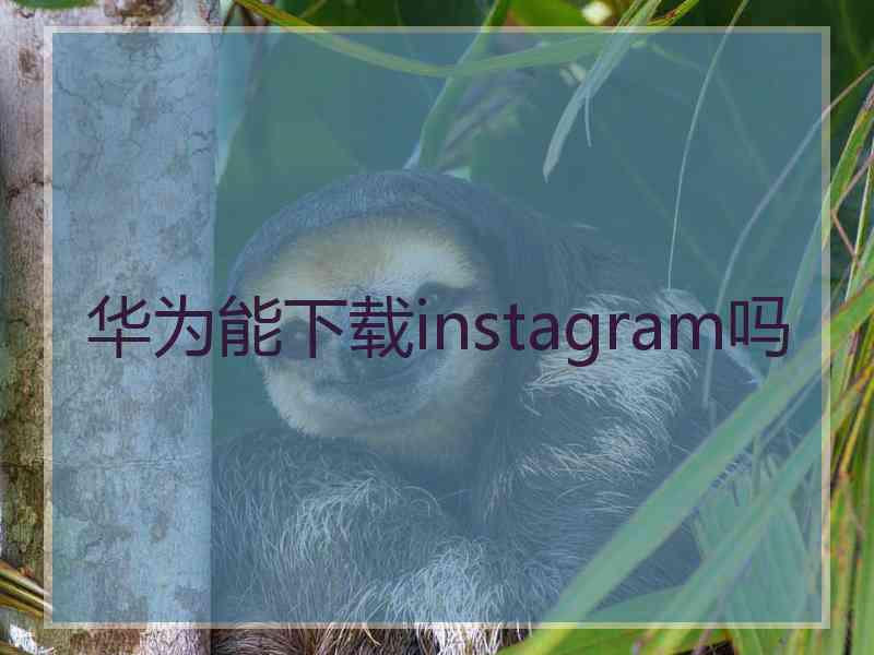 华为能下载instagram吗