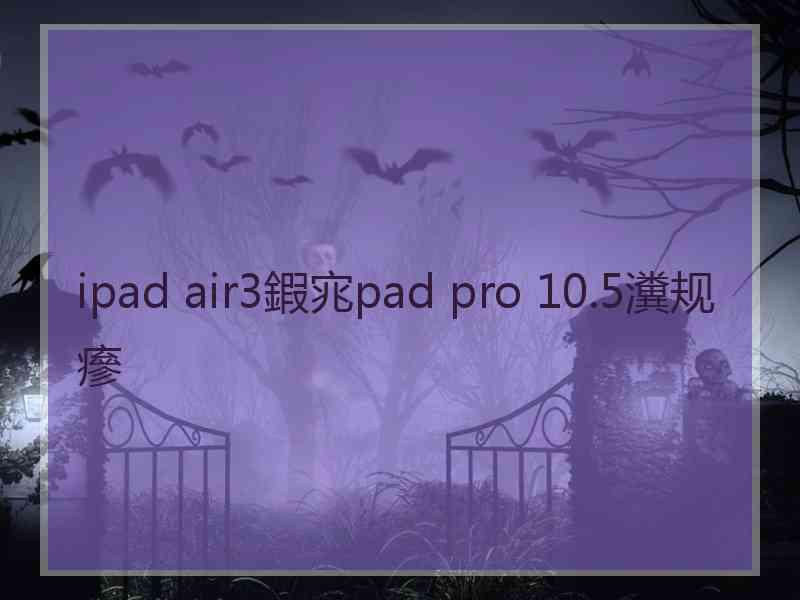 ipad air3鍜宨pad pro 10.5瀵规瘮