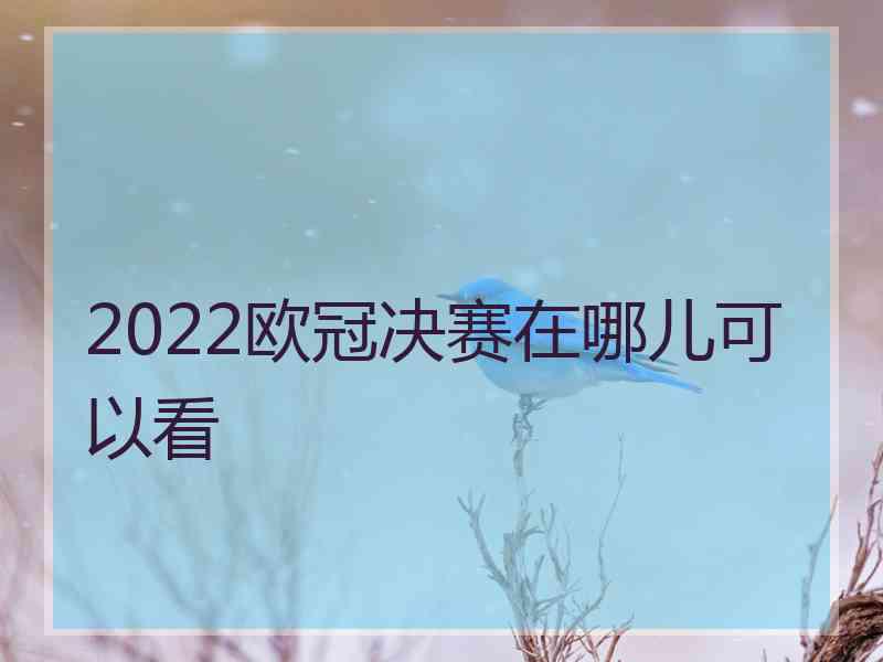 2022欧冠决赛在哪儿可以看