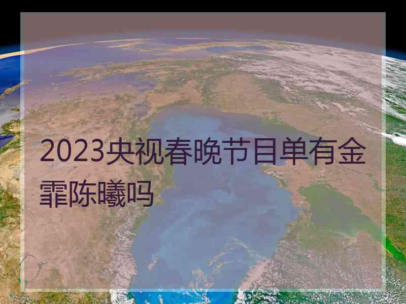 2023央视春晚节目单有金霏陈曦吗