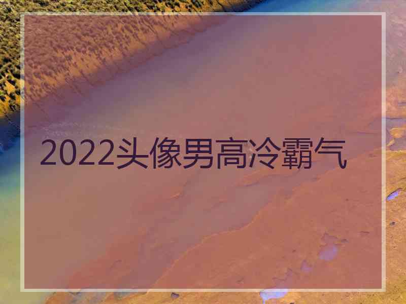 2022头像男高冷霸气