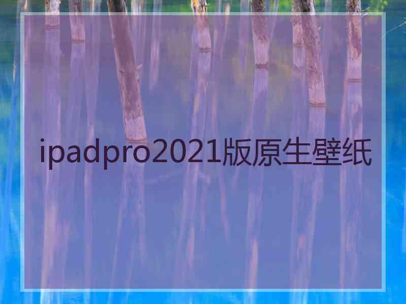 ipadpro2021版原生壁纸