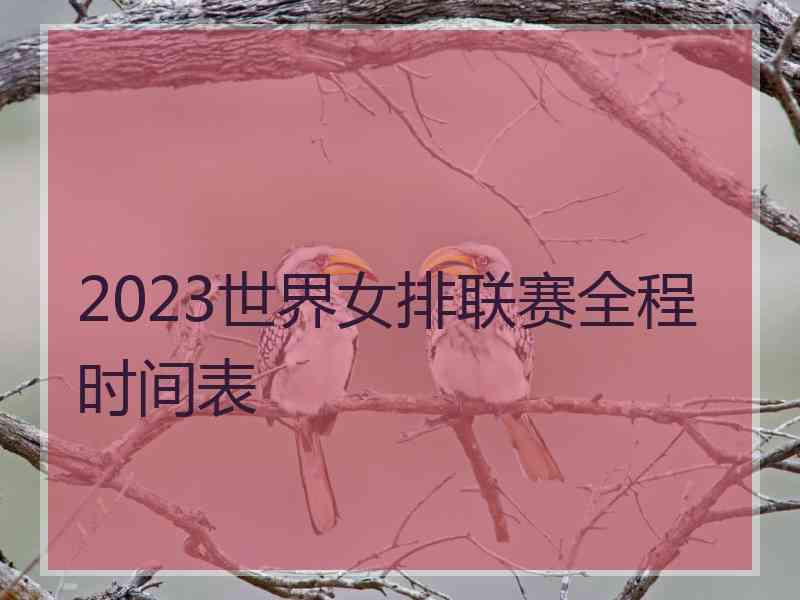 2023世界女排联赛全程时间表