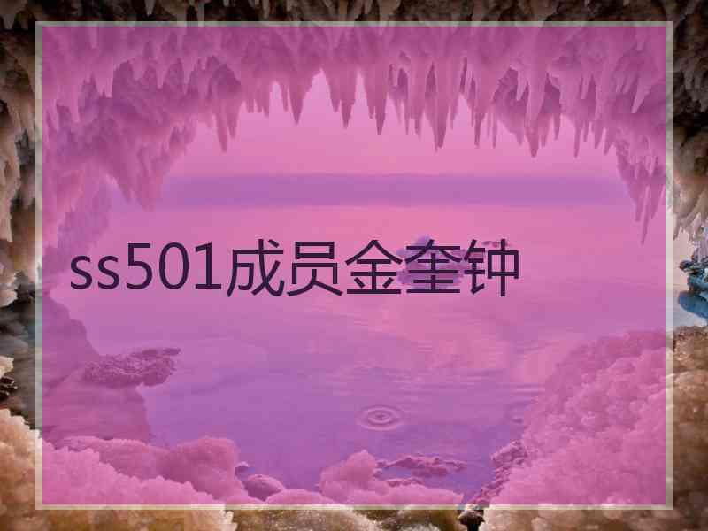 ss501成员金奎钟