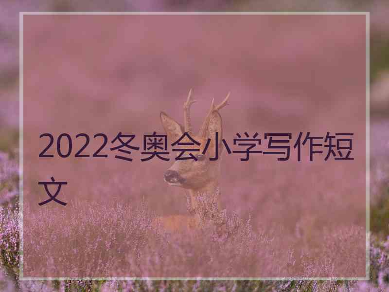 2022冬奥会小学写作短文